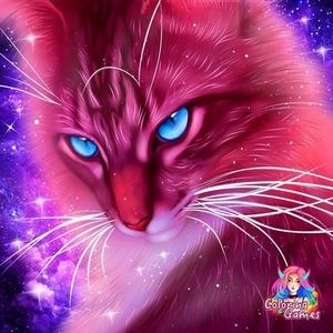 Meet your Posher, Lee